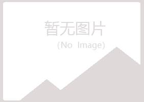 北川县曼山咨询有限公司